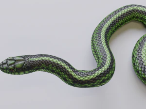 Green snake - animated 3D Model