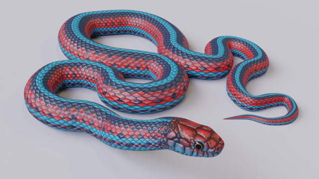 San francisco garter snake - animated 3D Modell .c4d .max .obj .3ds .fbx .stl .blend