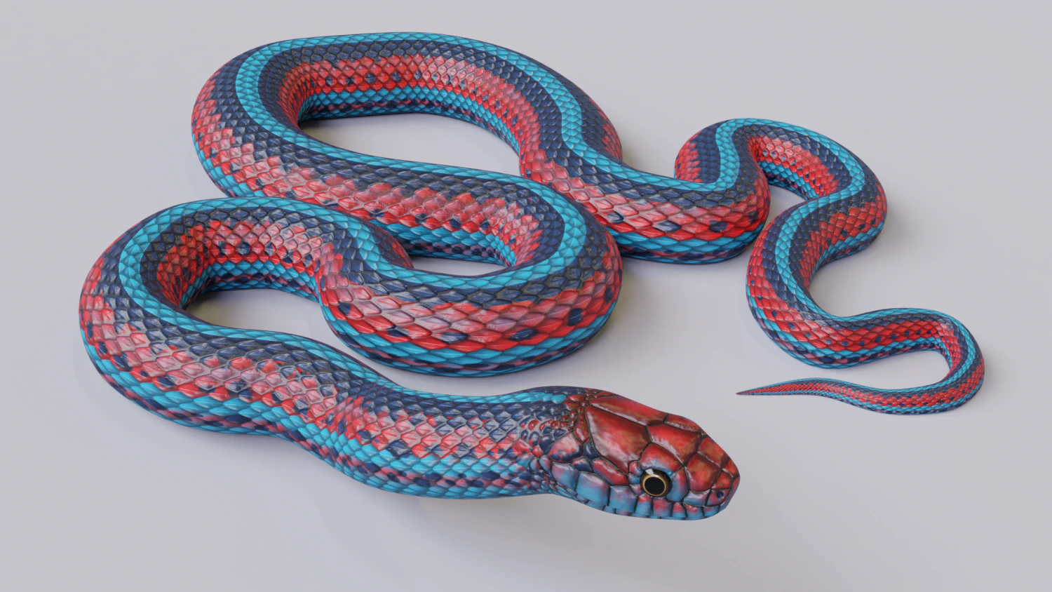 San francisco garter snake - animated 3D Model .c4d .max .obj .3ds .fbx .stl .blend 