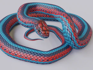 San francisco garter snake - animated 3D Model