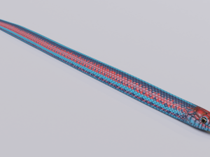 San francisco garter snake - animated 3D Modell