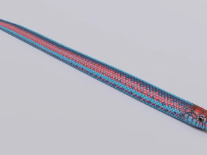 San francisco garter snake - animated 3D Model