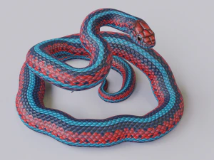 San francisco garter snake - animated 3D Model
