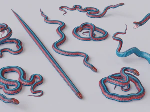 San francisco garter snake - animated 3D Model