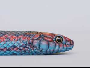 San francisco garter snake - animated 3D Model