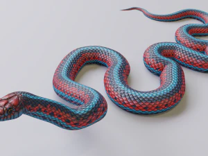 San francisco garter snake - animated 3D Model