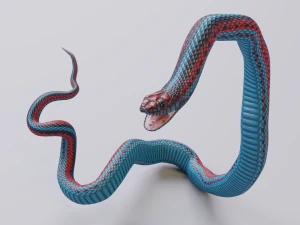 San francisco garter snake - animated 3D Model