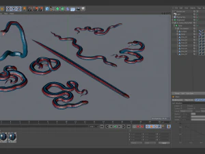 San francisco garter snake - animated 3D Model
