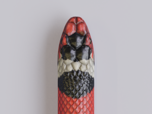 scarlet kingsnake - animated 3D Model