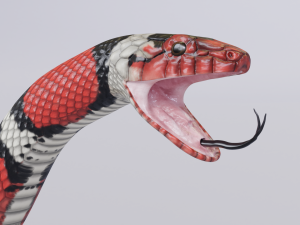 scarlet kingsnake - animated 3D Model