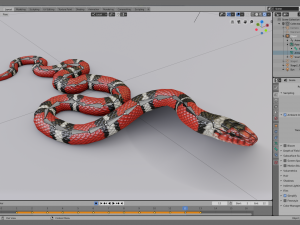 scarlet kingsnake - animated 3D Model