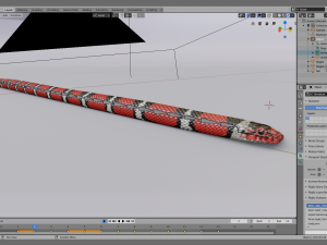 scarlet kingsnake - animated 3D Model