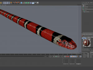 scarlet kingsnake - animated 3D Model
