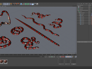 scarlet kingsnake - animated 3D Model