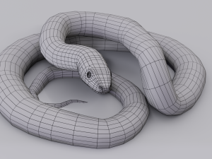 scarlet kingsnake - animated 3D Model