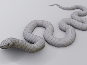 scarlet kingsnake - animated 3D Model