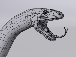 scarlet kingsnake - animated 3D Model