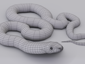 scarlet kingsnake - animated 3D Model