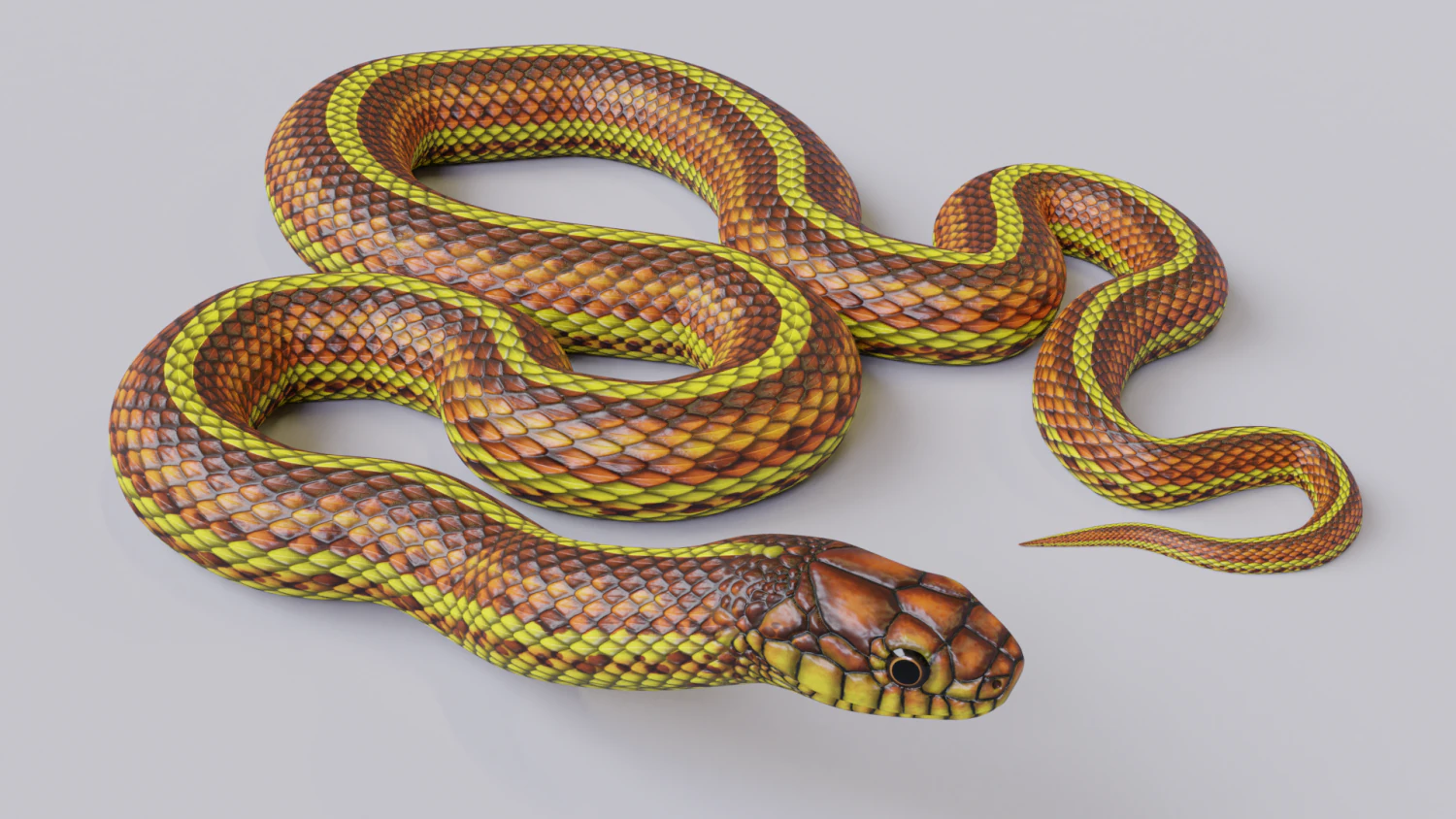 Yellow snake - animated 3D Model .c4d .max .obj .3ds .fbx .stl .blend 