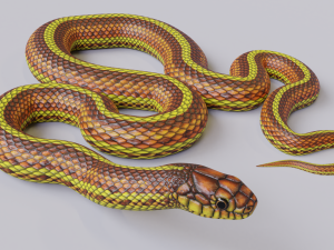 yellow snake - animated 3D 모델