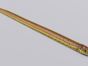 yellow snake - animated 3D Модель