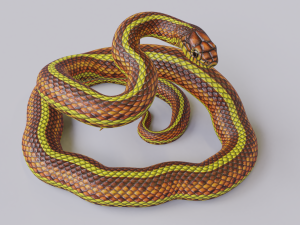 yellow snake - animated 3D Модель