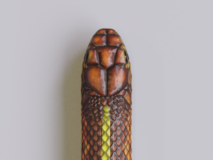yellow snake - animated 3D Модель