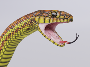yellow snake - animated 3D Модель
