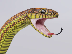 Yellow snake - animated 3D Model