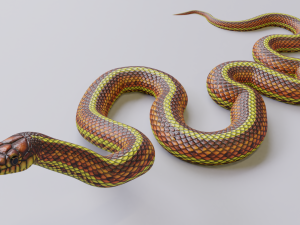yellow snake - animated 3D Модель