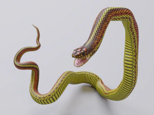 Yellow snake - animated 3D Model