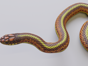 yellow snake - animated 3D Модель