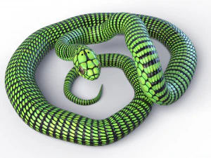 ブームスラング スネーク - アニメーション 3Dモデル