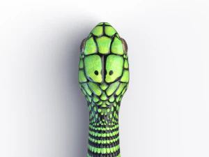 Boomslang snake - animated 3D Model