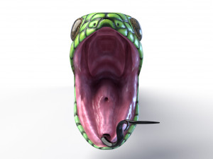 boomslang snake - animated Modèle 3D