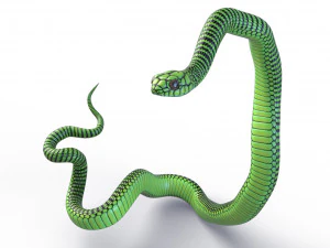 Boomslang snake - animated 3D Model