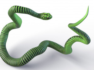 boomslang snake - animated Modèle 3D