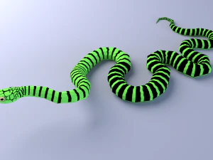 Boomslang snake - animated 3D Model