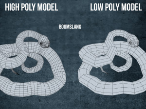boomslang snake - animated Modèle 3D