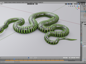 boomslang snake - animated Modèle 3D
