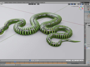 Boomslang snake - animated 3D Model