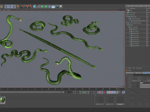 Boomslang snake - animated 3D Model