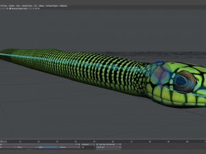 boomslang snake - animated Modèle 3D