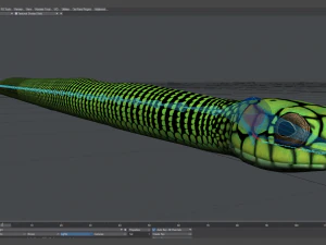 Boomslang snake - animated 3D Model