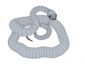 boomslang snake - animated Modèle 3D
