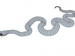 boomslang snake - animated Modèle 3D