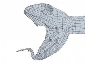 boomslang snake - animated Modèle 3D