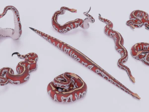 Blood python - animated 3D Model