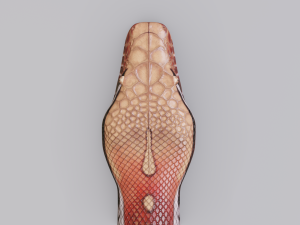 blood python - animated Modello 3D