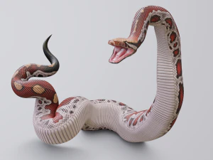 Blood python - animated 3D Model
